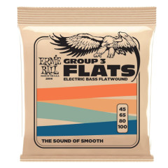 Ernie Ball 2806 Flatwound Bass Group III 45-100