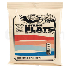Ernie Ball 2810 Flatwound Bass 5 String 45-130