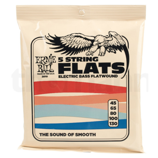 Ernie Ball 2810 Flatwound Bass 5 String 45-130