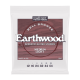 Ernie Ball 2346 12-54 Earthwood Bell Bronze