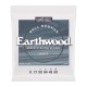 Ernie Ball 2348 11-52 Earthwood Bell Bronze