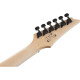 Ibanez GRGR221PA-AQB elektromos gitár