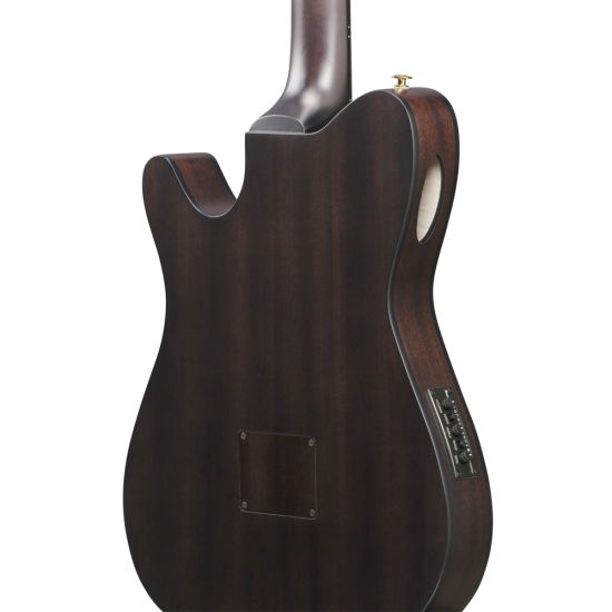 Ibanez FRH20FMN-DGL elektro-klasszikus gitár