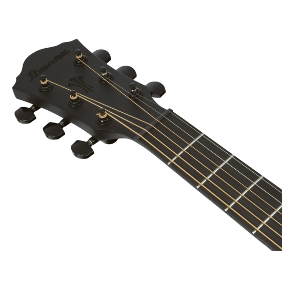 Ibanez AEG621-BOT elektro-akusztikus gitár