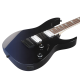 Ibanez RG421DX-TWS elektromos gitár