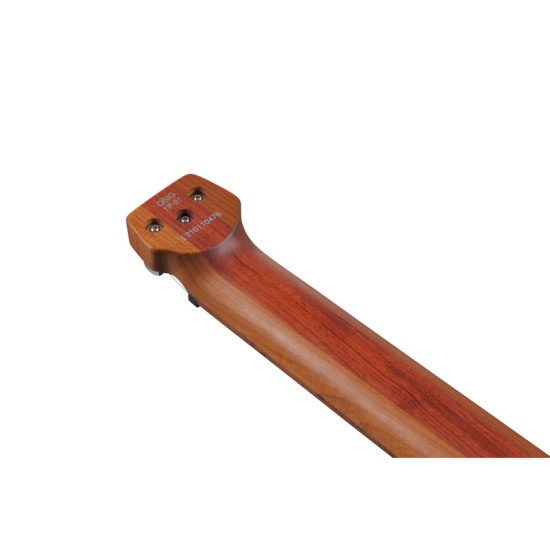 Ibanez ICHI10-VWM elektromos gitár