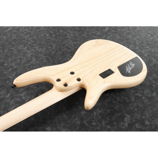 Ibanez GWB1005-NTF 5 húros basszusgitár