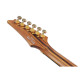 Ibanez RGT1220PB-ABS elektromos gitár