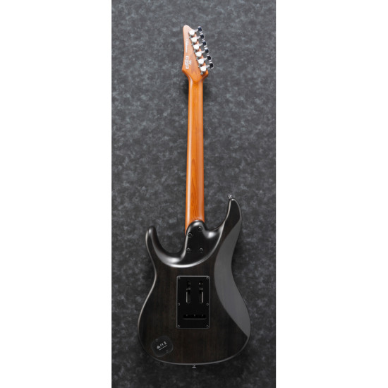 Ibanez EH10-TGM Erick Hansel signature elektromos gitár