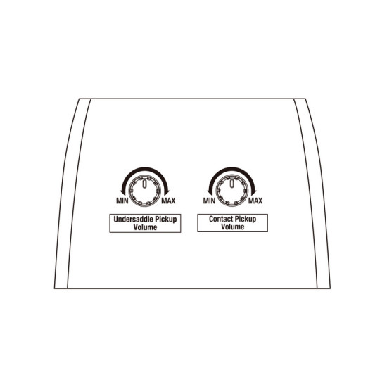 Ibanez ACFS300CE-OPS elektro-akusztikus gitár