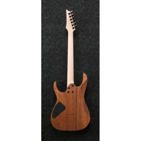 Ibanez RG421-MOL elektromos gitár