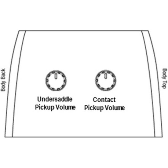Ibanez ACFS580CE-OPS elektro-akusztikus gitár