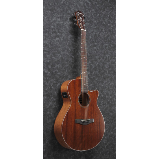 Ibanez AEG220-LGS elektro-akusztikus gitár