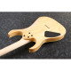 Ibanez RG421AHM-BMT elektromos gitár