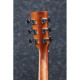 Ibanez AW65ECE-LG elektro-akusztikus gitár