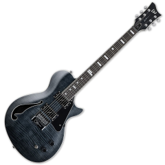 LTD BW-1 EVERTUNE STBLKF BEN WEINMAN