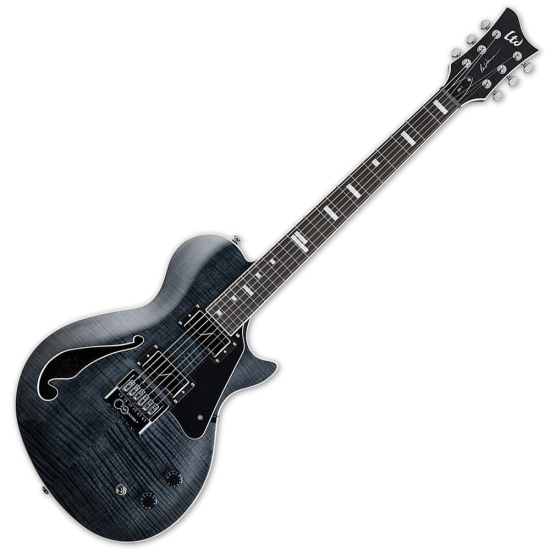 LTD BW-1 EVERTUNE STBLKF BEN WEINMAN