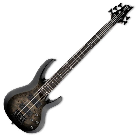 LTD B-205DX Black Burst