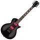 LTD GH-200 BLK GARY HOLT