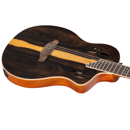 Ortega RTP-LTD TourPlayer DeLuxe 