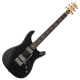 PRS Fiore HH Black Hyacinth Satin