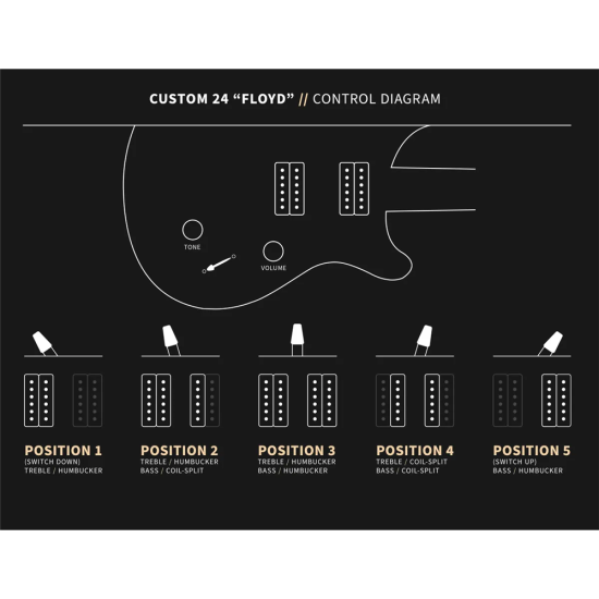 PRS Custom 24 Floyd Purple Mist