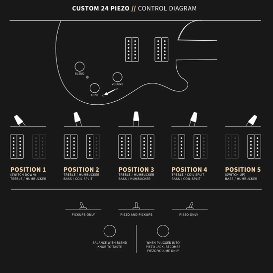 PRS Custom 24 Piezo Black Top