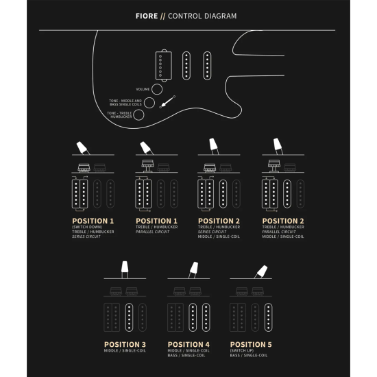 PRS Fiore Black Doghair