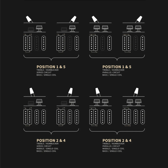 PRS Fiore Black Doghair