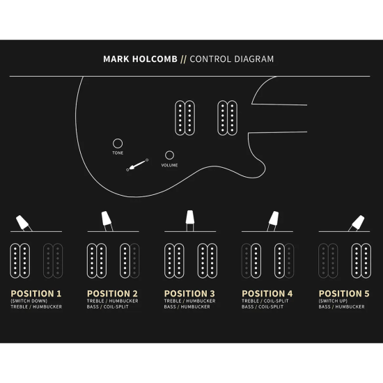 PRS Mark Holcomb Holcomb Wraparound Burst