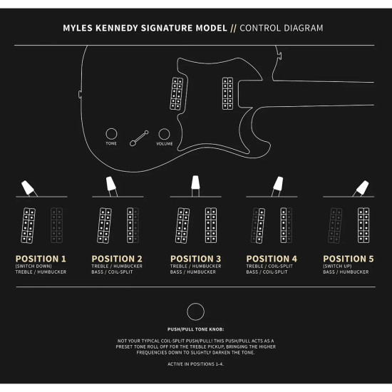 PRS Myles Kennedy Signature Egyptian Gold Metallic
