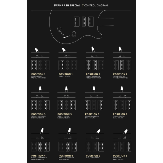 PRS Swamp Ash Special Maple Mulberry Burst