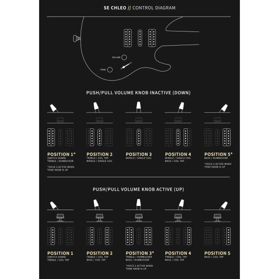 PRS SE Chleo Charcoal Purple Burst
