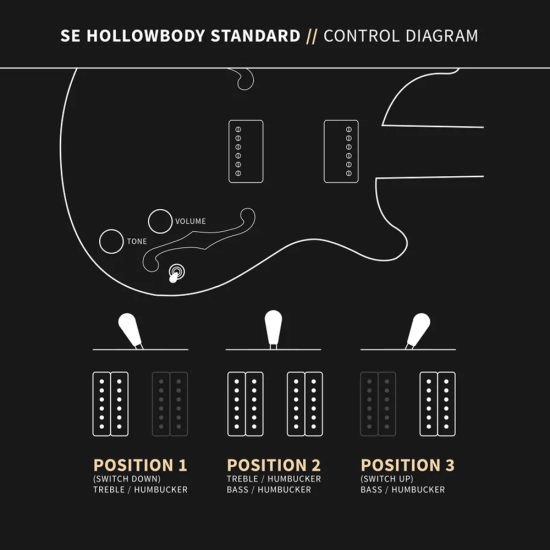 PRS SE Hollowbody Standard Dog Hair Smokeburst