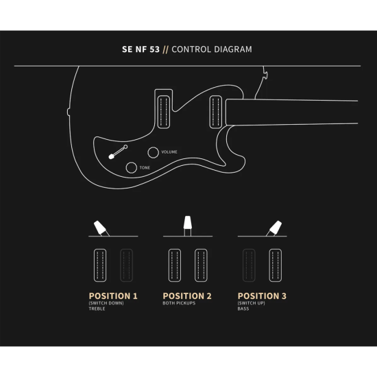 PRS SE NF53 White Doghair