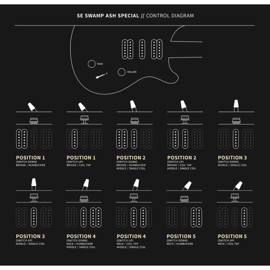 PRS SE Swamp Ash Special Iri Blue