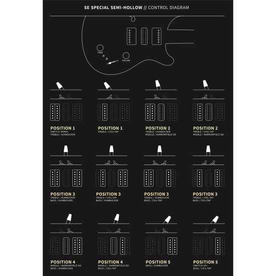 PRS SE Special Semi-Hollow Charcoal Burst