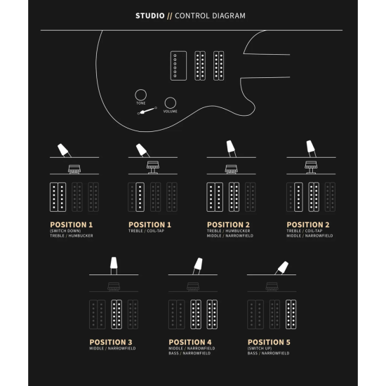 PRS Studio Black Rainbow Holoflake