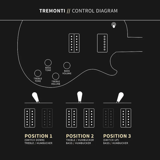 PRS Mark Tremonti Signature Charcoal Purple Bust