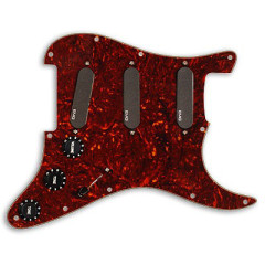 EMG VG20 Pro Vince Gill Signature Loaded Pickguard