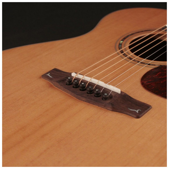 Cort Gold OC6 elektro-akusztikus gitár tokkal