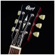 Cort CR250 DBB