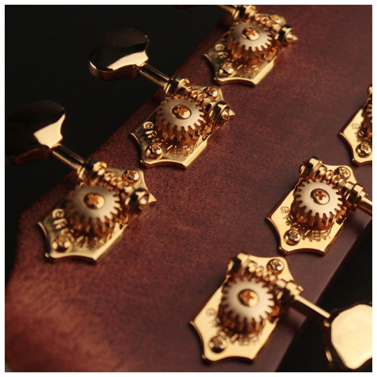 Cort Gold OC6 elektro-akusztikus gitár tokkal