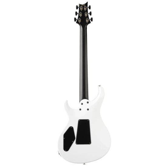 PRS Tekton Floyd White Holoflake