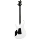 PRS Tekton Floyd White Holoflake