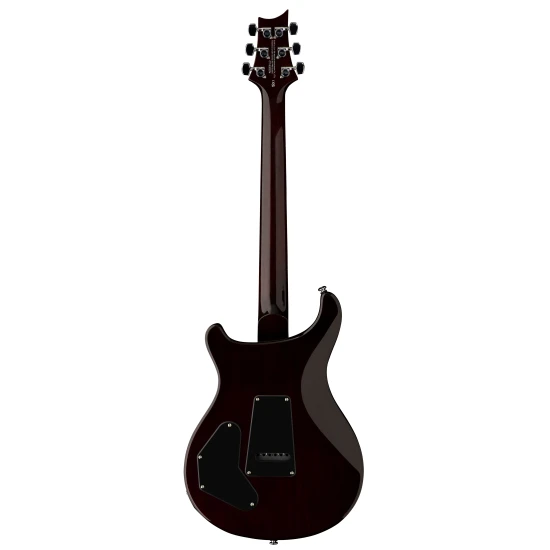 PRS SE DGT McCarty Tobacco Sunburst (Bird) David Grissom Signature