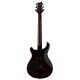 PRS SE DGT McCarty Tobacco Sunburst (Bird) David Grissom Signature