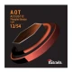 Blacksmith AOT Phosphor Bronze 12-54 húrkészlet