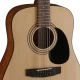 Cort AD810 12 OP