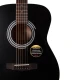 Cort AF510 BKS
